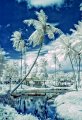 41 - Frozen paradise - BODNARNE HORVATH ILDIKO - hungary